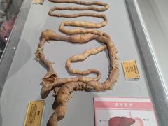 -陕西自然博物馆