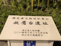 -放鹰台遗址