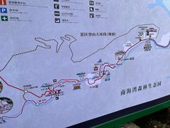 -南海湾森林生态园