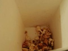 -奥斯卡新都汇影城(终级银幕)