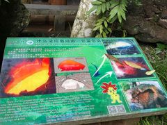 -海口火山口国家地质公园
