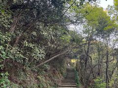 -杭州半山国家森林公园