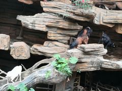 -长鹿旅游休博园