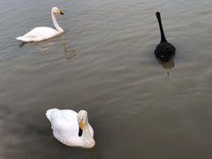 -艾溪湖湿地公园