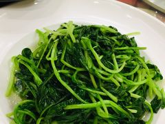 -朝郡酒家·粤菜(燕大星苑店)