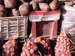 -江杨农产品批发市场