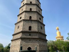 -兴隆文化园景区-兖州博物馆