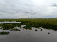 -花湖生态旅游区