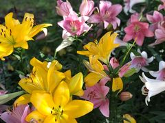 -长春公园(普阳街道)