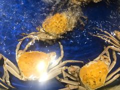 -海景壹号大酒店(滨湖店)