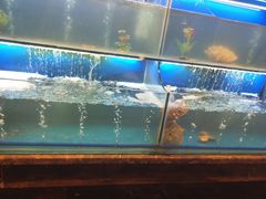 水产区-芭菲盛宴·环球美食(袁家岗店)