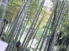 -善卷洞风景区