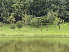 -东莞植物园