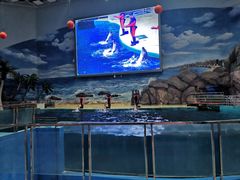 -福州罗源湾海洋世界旅游区