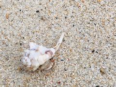 -名护雷桑力斯酒店