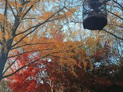 -泰州凤城河风景区-泰山公园