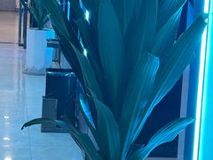 -绿树电竞(五路店)