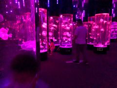 -成都浩海立方海洋公园