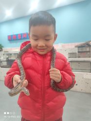 -Moni星球萌宠·小马宝莉·灵蛇·高端高阶全萌宠互动体验俱乐部(红豆国际广场店)