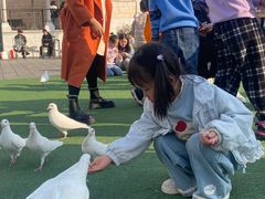 -华谊兄弟（长沙）电影小镇