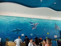 -黄金海岸水上乐园