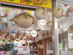 -大澳