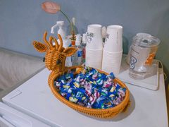 -海悦酒店(白石洲地铁站世界之窗店)