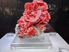 -湖南省地质博物馆