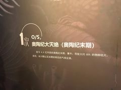 -呼和浩特博物馆