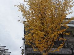 -南岳衡山风景名胜区-南岳大庙