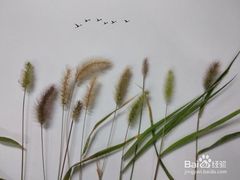 -东郊湿地公园