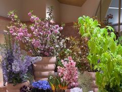 -BEAST野兽派(上海浦东嘉里城店)