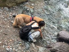 -西岭雪山大飞水景区