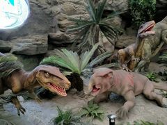 -国家自然博物馆