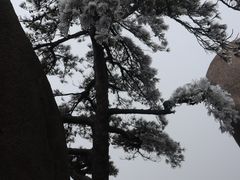 -天柱山风景区
