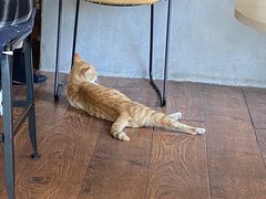 -251#coffee roasters(沿河东路店)