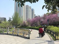 -洛阳市牡丹公园