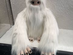 -北京SKP