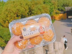 -西园戒幢律寺