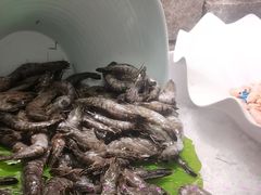 -四囍码头海鲜烧烤自助火锅(外滩南京东路悦荟广场店)