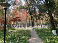 -四川大学(望江校区)