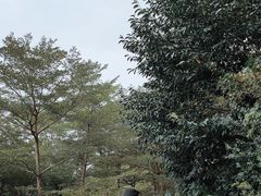 -东部华侨城