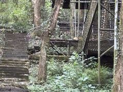 -富春桃源风景区