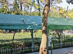 -南京市溧水区傅家边梅花山弄山庄