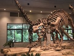 -自贡恐龙博物馆