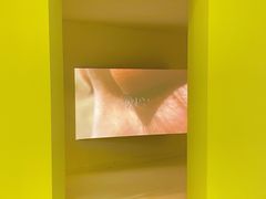 -胶囊画廊