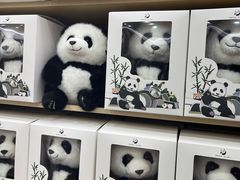 -成都大熊猫繁育研究基地