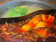 鸳鸯锅-阳阳老火锅(小南门店)