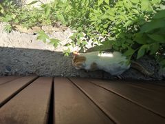 -潭柘厚院(桑峪村店)