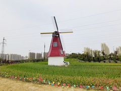 -菊园百果园
